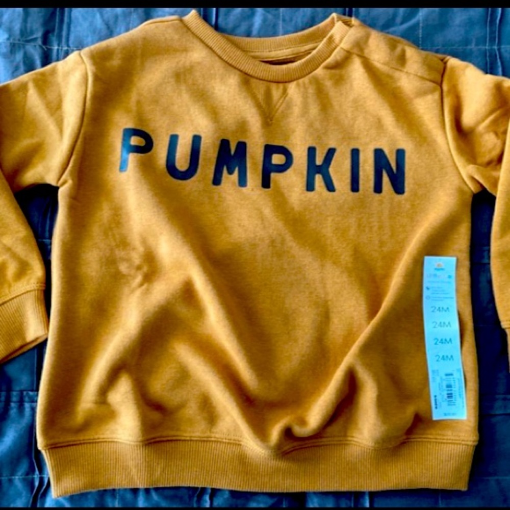 NWT Lauren Conrad Little Co. Pumpkin Sweatshirt Pullover 24 Months